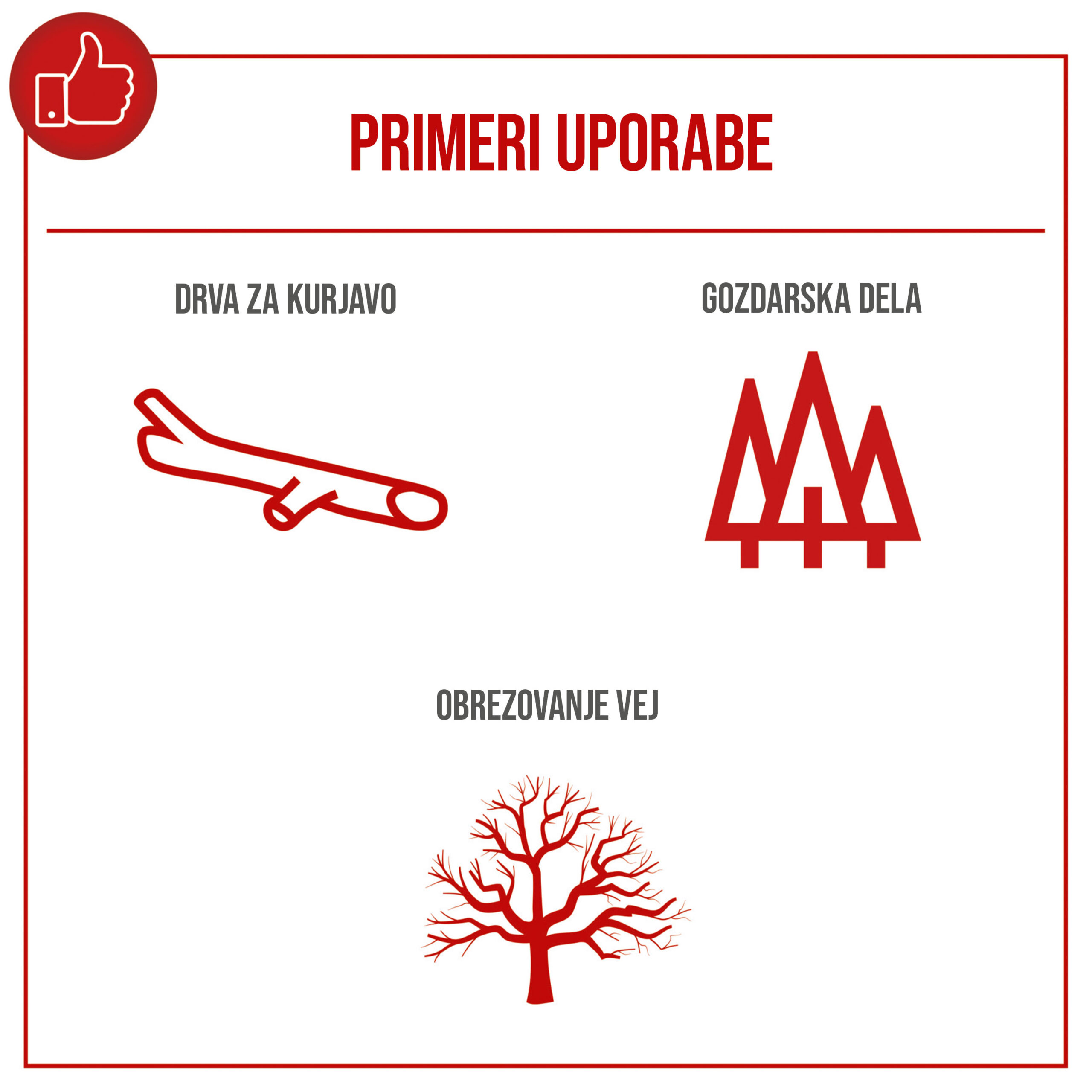 PCS46_10 bencinska verizna zaga 46cc_infografika_5_SLO