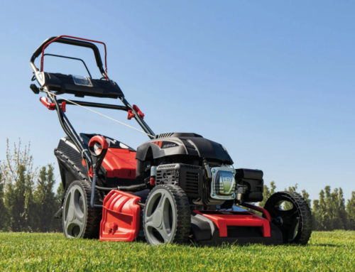 Scheppach vrtno orodje: vodnik po novih strojih za vaš vrt